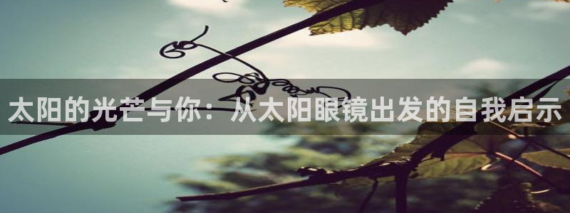 专业辉达娱乐在线游戏