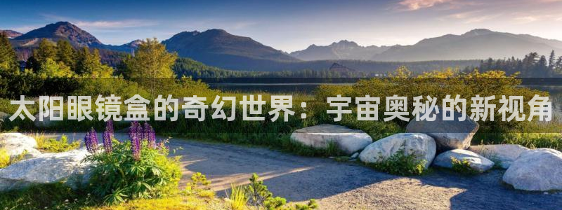 辉达集团官方网站