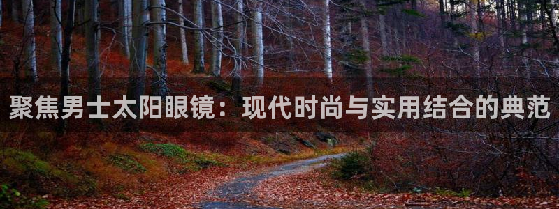 代理辉达娱乐平台