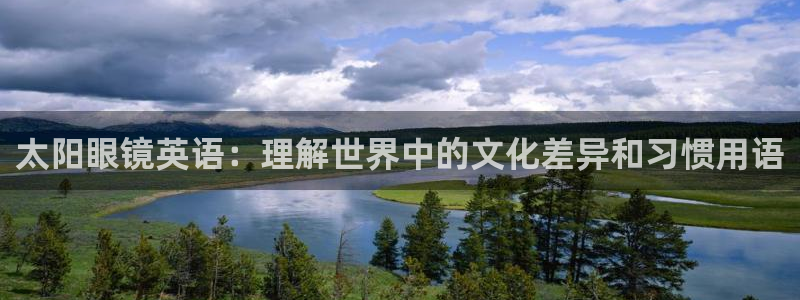 辉达娱乐计划软件