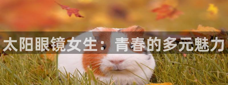 辉达娱乐广东11选5