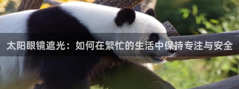 辉达娱乐正规吗