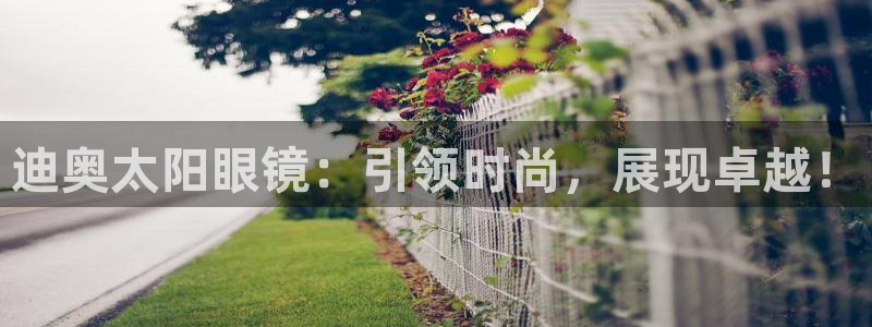 辉达集团官方网站