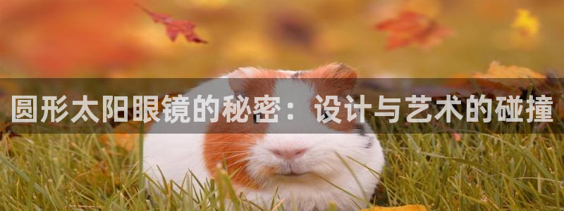 信誉辉达娱乐在线游戏