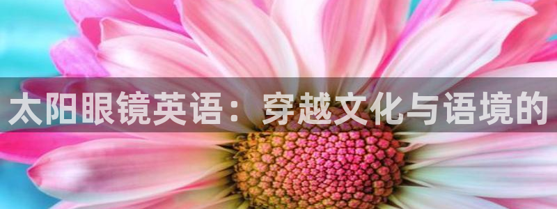 辉达平台官网电话