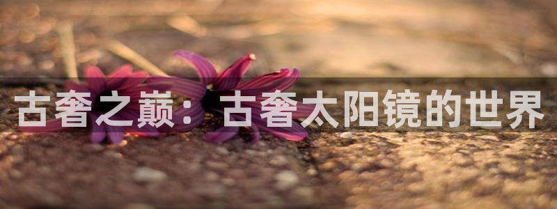 辉达平台娱乐怎么样