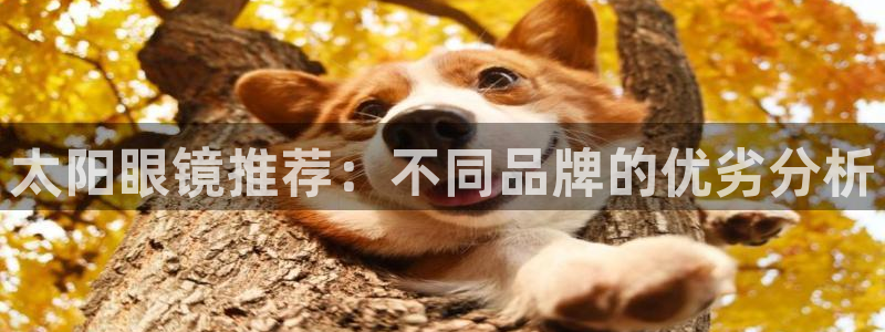 辉达娱乐排列三