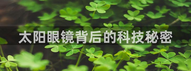 代理辉达娱乐官方网址