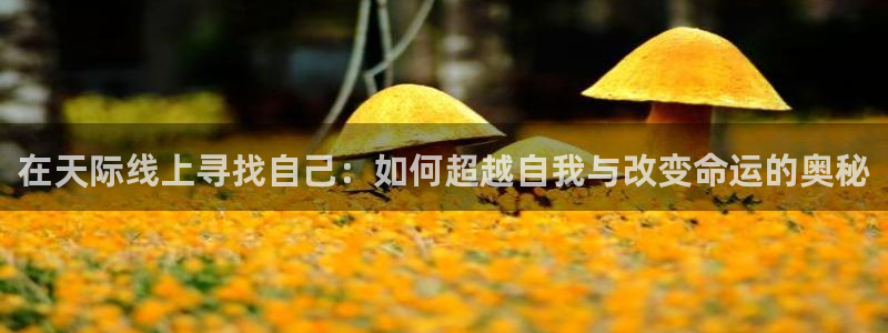 信誉辉达娱乐在线游戏