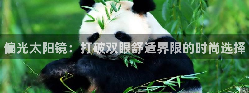 辉达集团官方网站