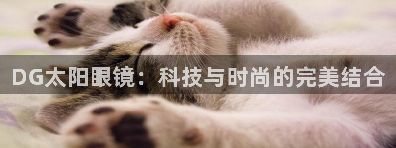 信誉辉达娱乐平台