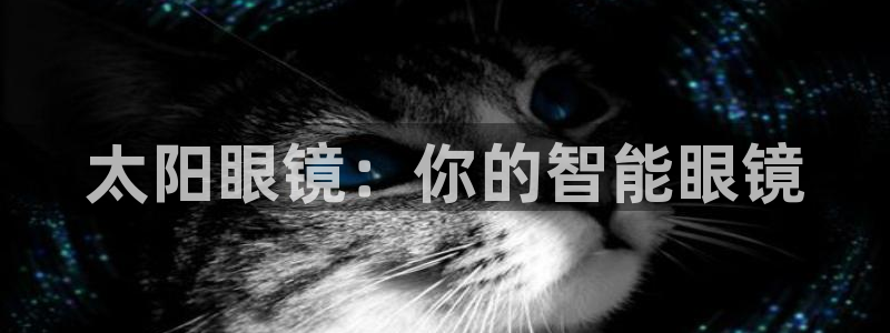 辉达娱乐最新现状