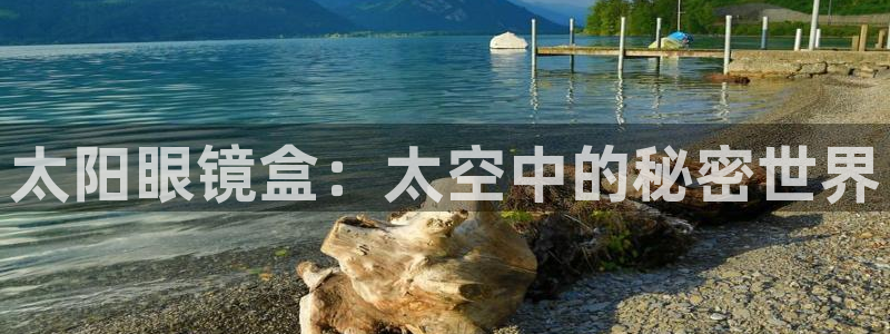 专业辉达娱乐官方网址