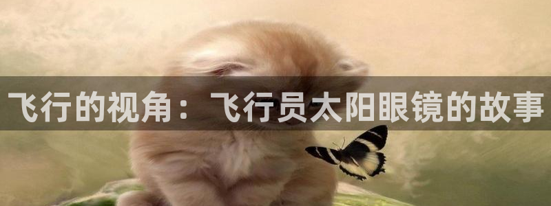 辉达娱乐时时彩