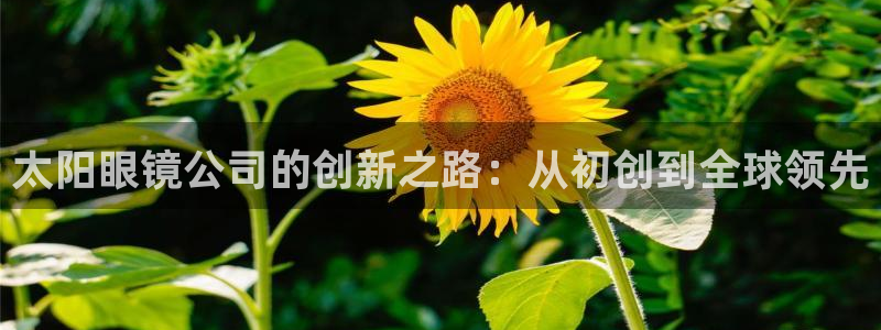 正规辉达娱乐平台